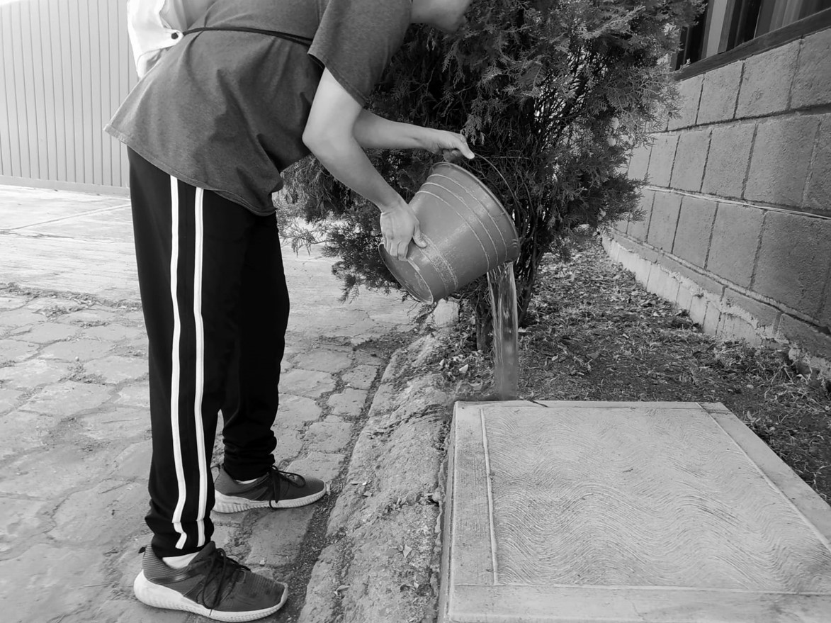 persona regando plantas
